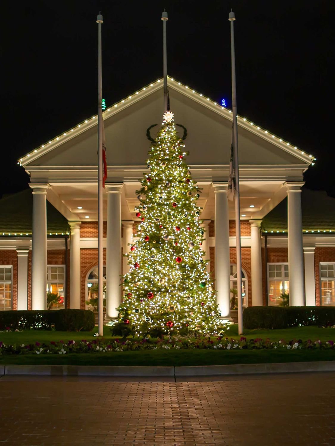 A commercial building with a grand lit Christmas tree and columns